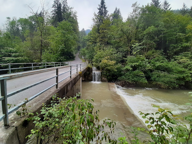 Comentarii opinii despre Conrad Sohm