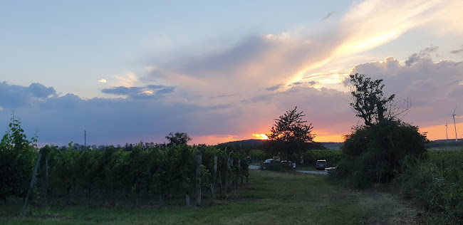 Panoramaheuriger Familie Schoderitz - Höflein