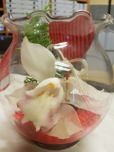 Wischerstraße 1, 4040 Linz