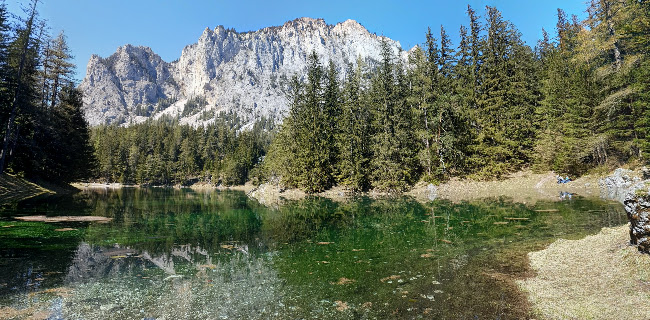 Opinii despre Gasthof Grüner See în Oberort - Gastronomie und Hotellerie