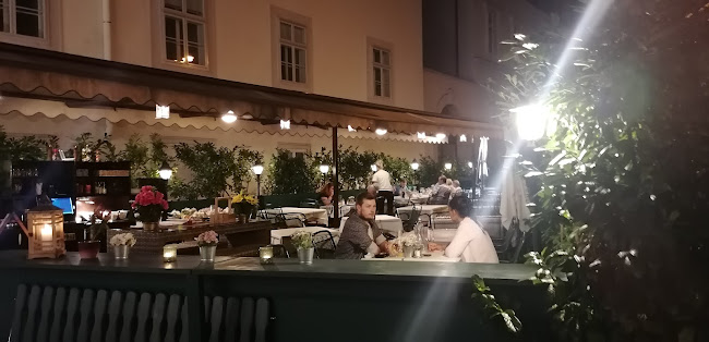 Comentarii opinii despre Pfudl