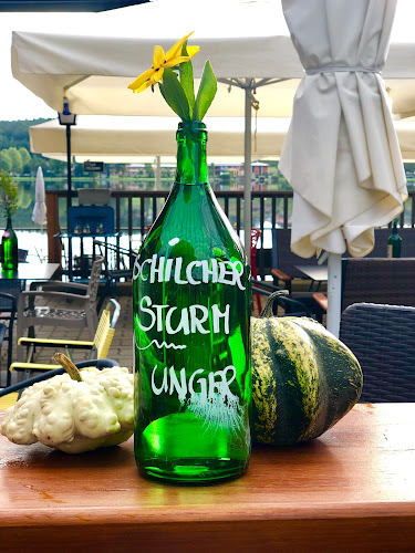 Grandma's Hipster Kiosk 99 - Stubenberg am See