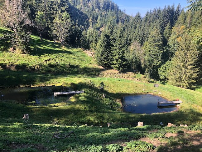 Rennfeldwanderung über Jagaalm bis Bruck/Mur, 8600, 8600 Bruck an der Mur
