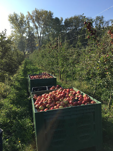 Comentarii opinii despre Mostschänke Lohwiesen
