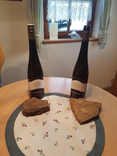 Comentarii opinii despre Genuss & Technik GmbH