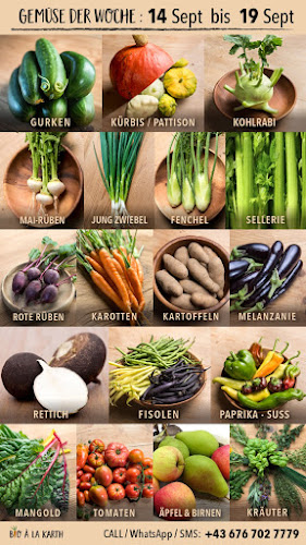 Opinii despre Zum Roten Bären în Wien - Gastronomie und Hotellerie