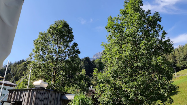 Opinii despre Birnhorn Restaurant & Bar în Leogang - Gastronomie und Hotellerie