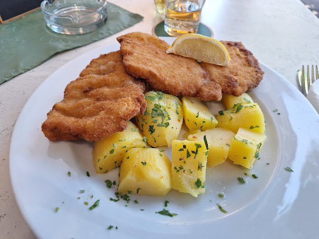 Schutzhaus Groß-Jedlersdorf Wein&Bierheuriger - Gastronomie und Hotellerie