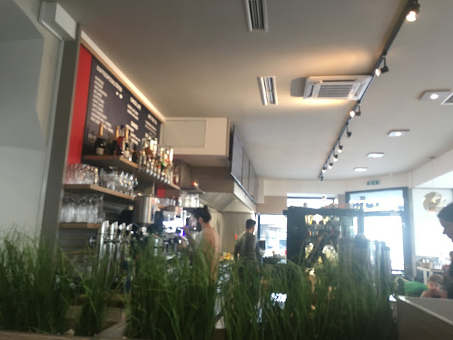 Comentarii opinii despre Duru Café & Restaurant