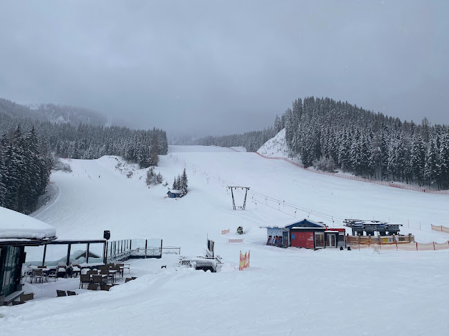 Lena-Alm - Schladming