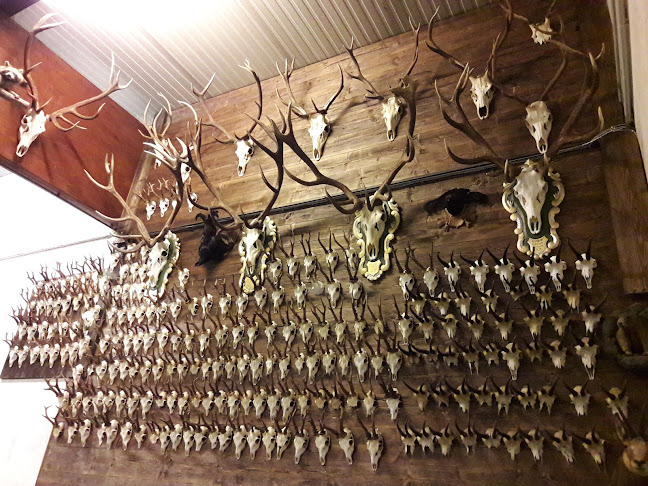 Comentarii opinii despre Vinoribis GmbH Privatkellerei