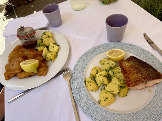 Schloss Rogendorf - Pöggstall