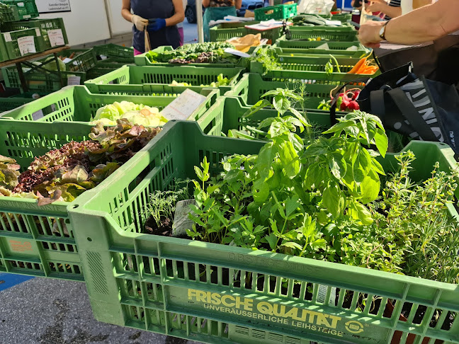 Bauernmarkt Schladming - Gastronomie und Hotellerie
