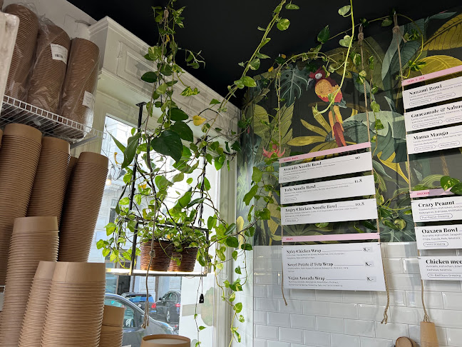 Salad Jungle - Gastronomie und Hotellerie