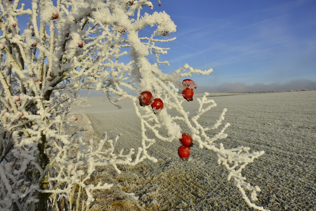 Landgasthaus Brunngraber - St. Peter