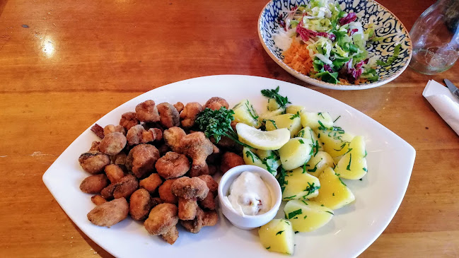 Mochoritsch Griffen-Rast