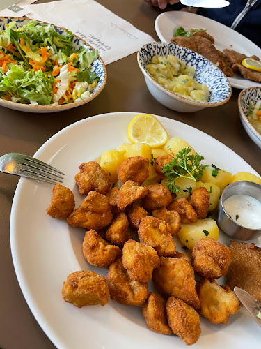 Mochoritsch Griffen-Rast - Griffen