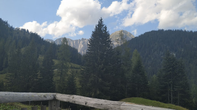 Comentarii opinii despre Bewirtschaftetet Gaststätte --Schöberlalm