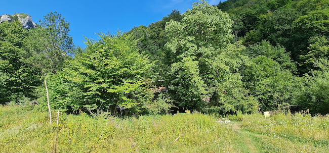 Comentarii opinii despre Karbach Jausenstation