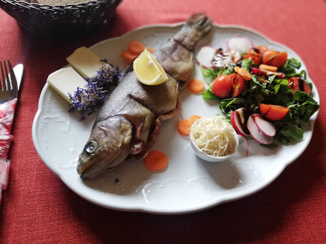 Adlerhütte Bergrestaurant - Kitzbühel