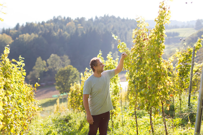 Sternberg Weingut Egger