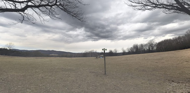 Opinii despre Rasthaus Rohrhaus în Wien - Gastronomie und Hotellerie