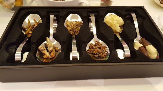 Opinii despre Hollers Steakhaus în Wiener Neustadt - Gastronomie und Hotellerie