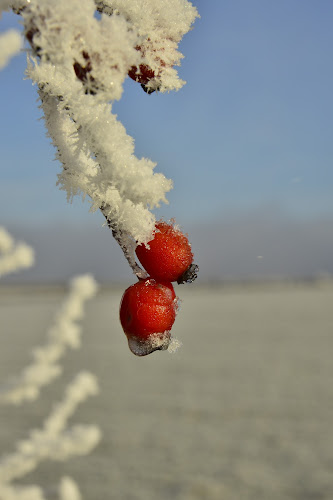 Opinii despre Landgasthaus Brunngraber în St. Peter - Gastronomie und Hotellerie