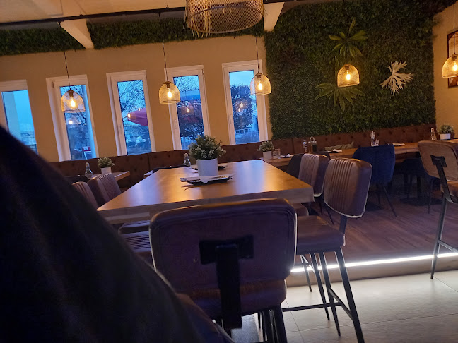 Opinii despre Freistil - Grill & Chill în Bergheim - Gastronomie und Hotellerie