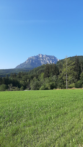 Comentarii opinii despre Gasthaus Franzl im Holz