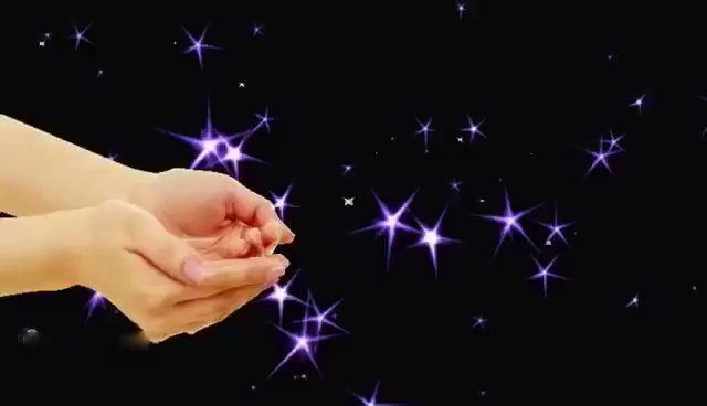 Gasthof Goldenes Schiff - Gastronomie und Hotellerie