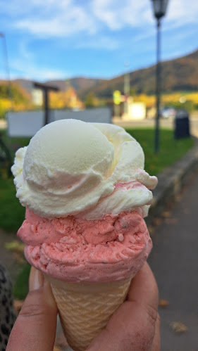 Rollfährestraße 9, 3620 Spitz