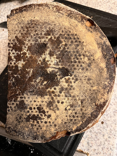 Opinii despre Öfferl - Landstraßer Hauptstraße 19 în Wien - Gastronomie und Hotellerie