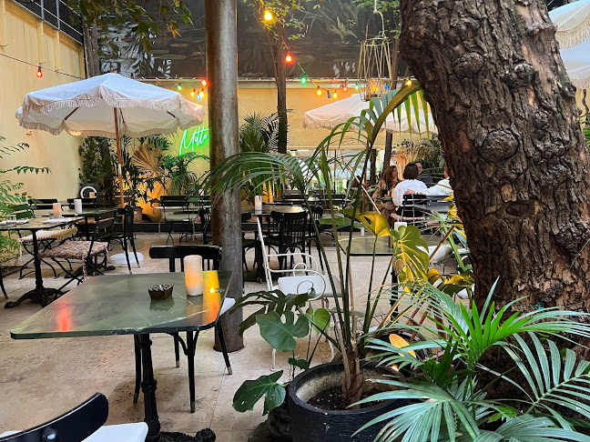 THELL | Restaurant & Bar - Gastronomie und Hotellerie