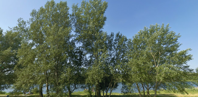 Jamaica Beach - Wien