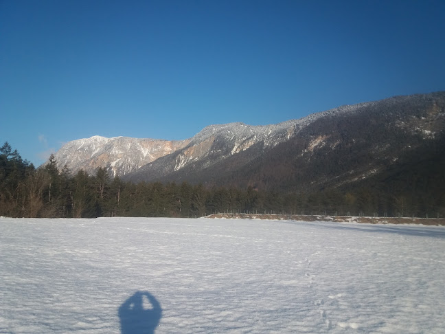 Comentarii opinii despre Vinzenz Nessmann