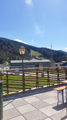 Comentarii opinii despre Pinguin Iglu