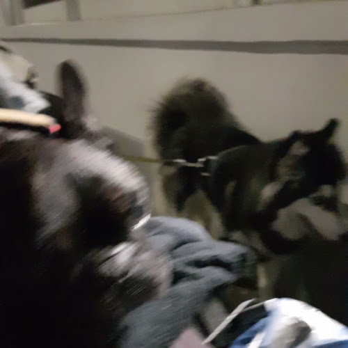 Opinii despre Backstüberl în Wien - Gastronomie und Hotellerie