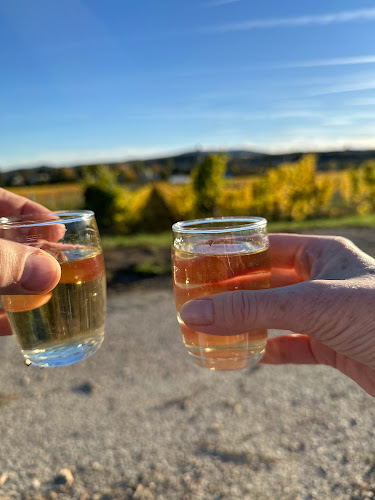 Opinii despre Mohrenberger Alm 2 în Perchtoldsdorf - Gastronomie und Hotellerie