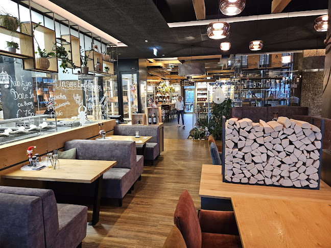 Comentarii opinii despre Bullinarium