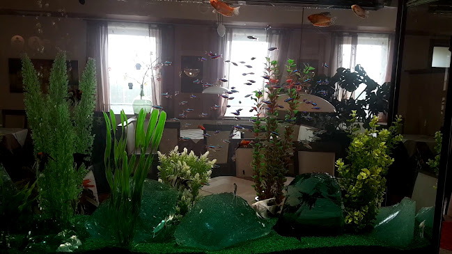 Mitterhoferstraße 21, 4300 St. Valentin