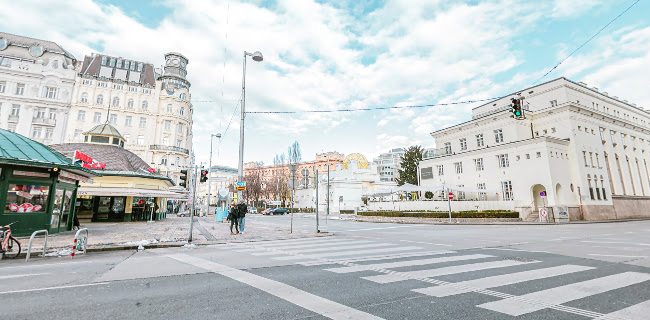 Tolstoy - Plant-Based Eatery - Wien