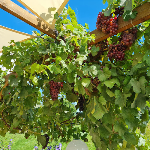 Comentarii opinii despre Buschenschank Canky