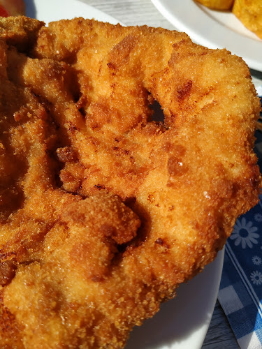 Opinii despre Schutzhaus Meidling în Wien - Gastronomie und Hotellerie