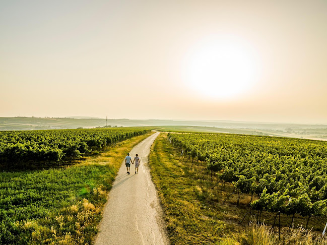 Hauptstraße 65, 2171 Herrnbaumgarten