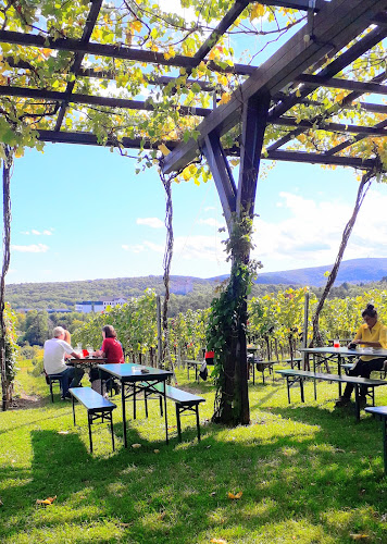 Weinlaube am Sieghartsberg