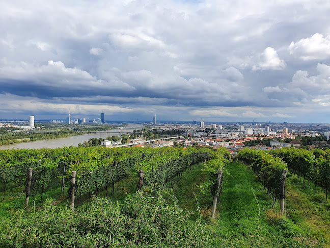 Opinii despre Sonnenheim, Historic Wien bar în Wien - Gastronomie und Hotellerie