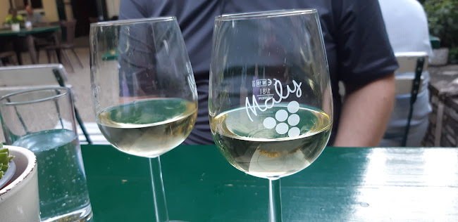 Comentarii opinii despre Heuriger Maly