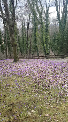 Comentarii opinii despre Burg-Restaurant Deutschlandsberg