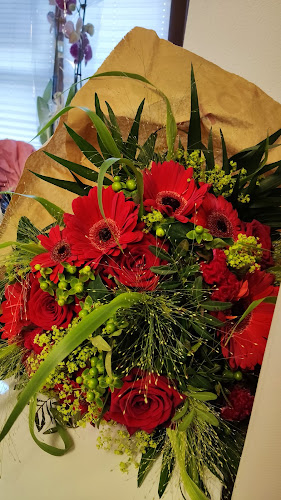 Blumen Calovini - Schwaz